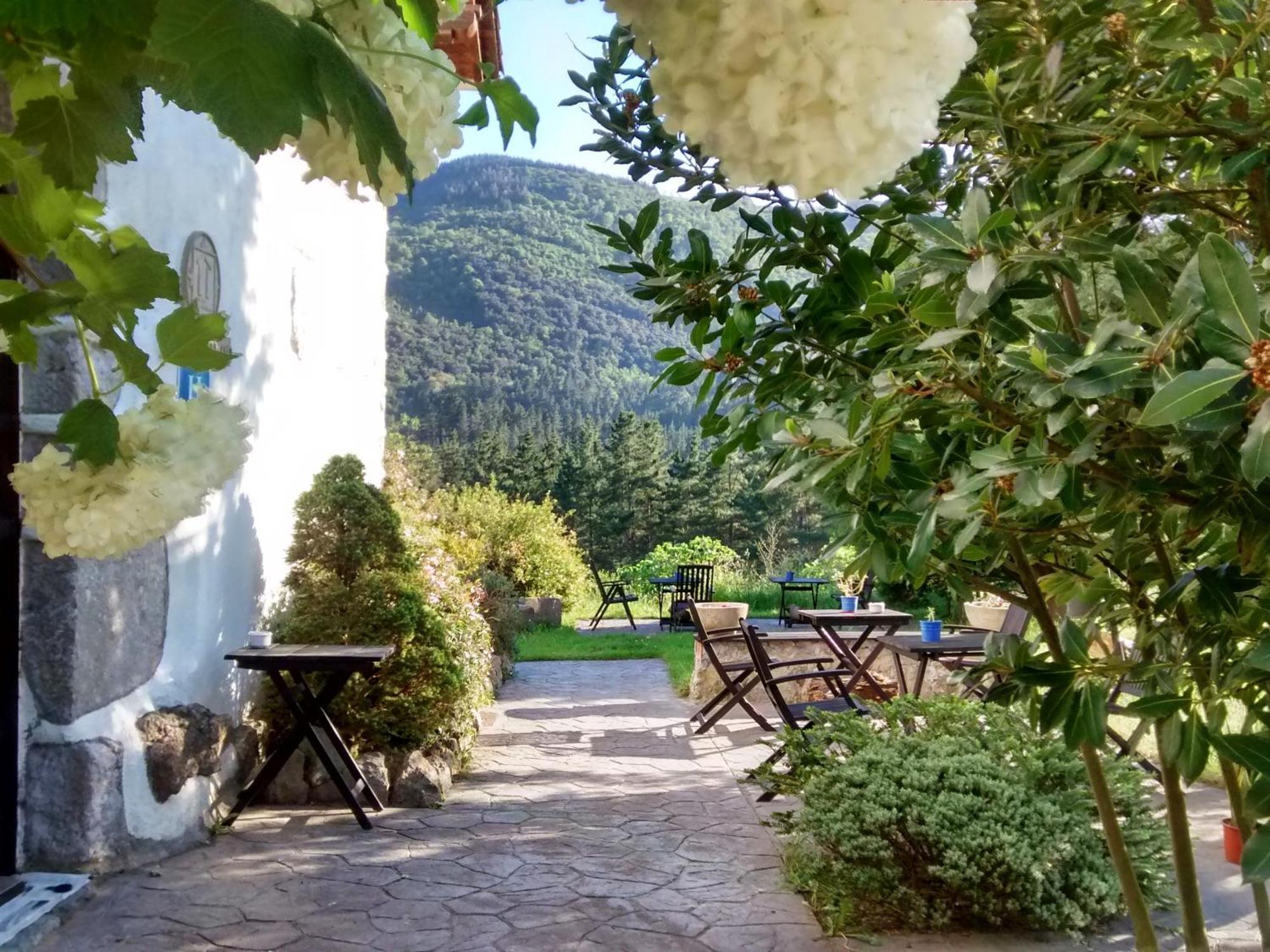 Hotel Rural Natxiondo ليكيتيو المظهر الخارجي الصورة